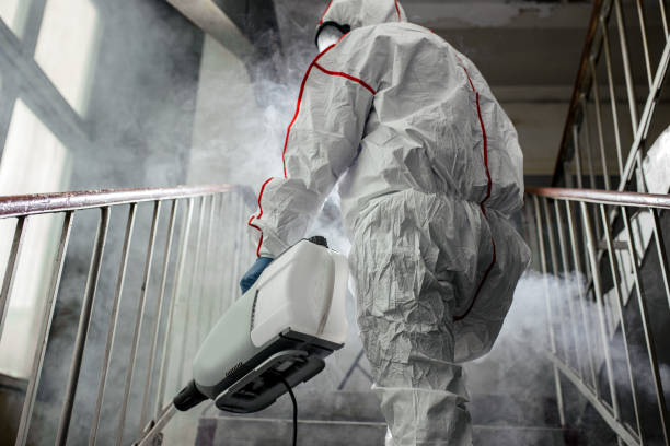 Best Mold Remediation for Healthcare Facilities  in Staffd, OR